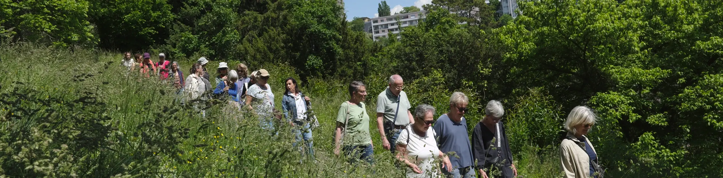 Les promenades de Floriane - Slider